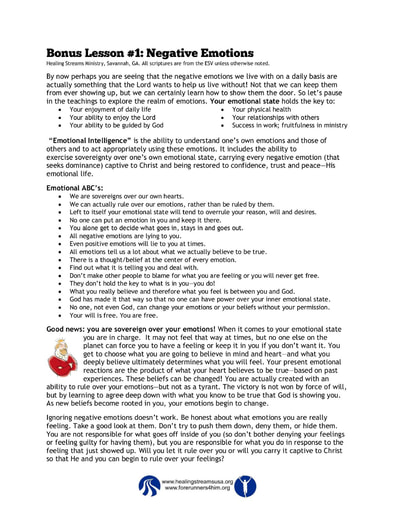 Negative Emotions (2-page Summary)